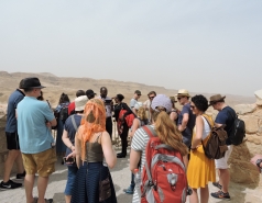 Dead Sea Tour picture no. 28