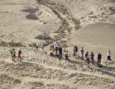 Masada snake trail