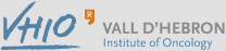 VHIO, Vall D'hebron Institute of Oncology, Opens in a new window