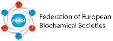 FEBS, Federation of European Biochemical Societies